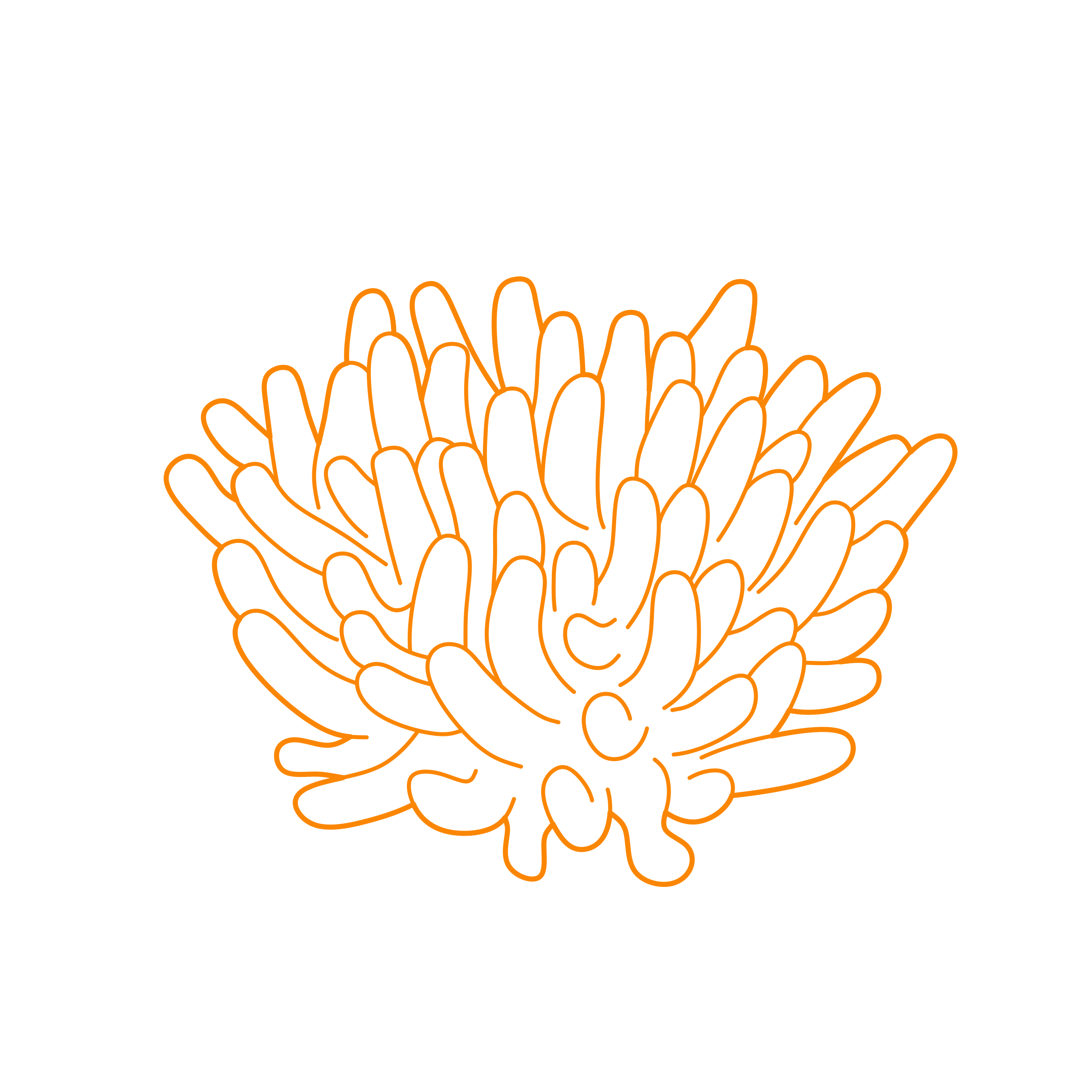 Animals Corals Finger Coral Contour Svg Vector Free Vectors